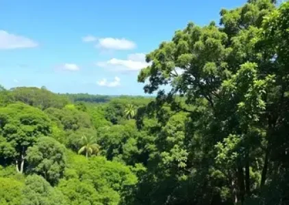 Últimas noticias de Campo Grande