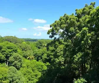 o que fazer em Campo Grande neste fim de semana