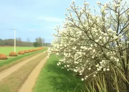 Últimas noticias de Campo Grande