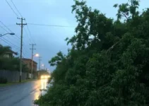 temporal em Mato Grosso do Sul
