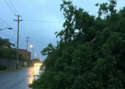 Últimas noticias de Campo Grande