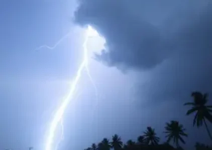 Últimas noticias de Campo Grande