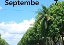 feriado de 7 de setembro em Campo Grande