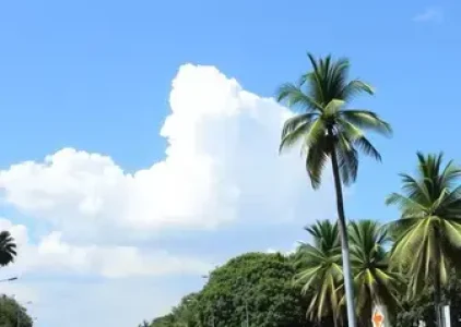 Últimas noticias de Campo Grande