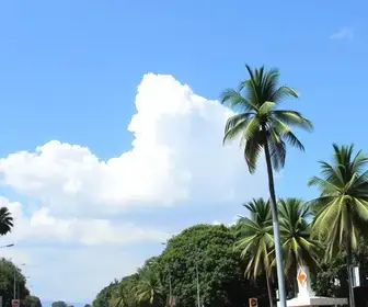 deputados estaduais Campo Grande MS