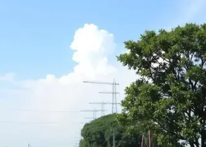 Últimas noticias de Campo Grande